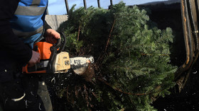 So much for reform & tolerance: Saudis open to ridicule over Christmas tree ban memo