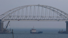 US lawmakers' 'reckless' call for navy op in Black Sea incites more mischief from Kiev – Senator