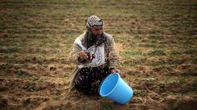 Israel accused of ruining Palestinian crops by spraying pesticides along Gaza border (VIDEO)