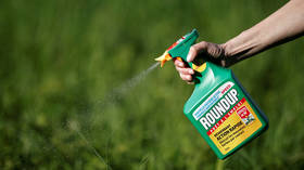 Canada sees no cancer risk from Monsanto’s Roundup weed killer
