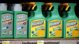 EU approval of glyphosate weed killer was based on ‘plagiarized’ Monsanto studies, report finds