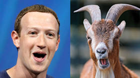 Baaad taste: Mark Zuckerberg once killed a goat and served it cold to Twitter CEO Jack Dorsey 