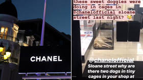 Chanel slammed for keeping dogs in ‘tiny cages’ at London boutique (PHOTOS)