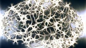 Lab-grown HUMAN ‘mini-brains’ learned to control muscles