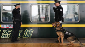 China clones ‘Sherlock Holmes of police dogs’ to cut time and cost of K9 training