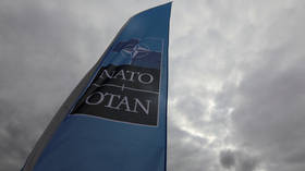 NATO 'broke away' from intl law, lost its legitimacy – ex-OSCE Parliamentary Assembly VP to RT
