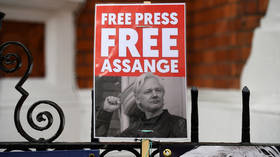 ‘5 years for ATTEMPT to crack a password?’ Journalists, whistleblowers slam US Assange charge