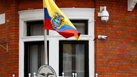 'Swedish software developer' linked to WikiLeaks arrested in Ecuador in flight attempt – reports