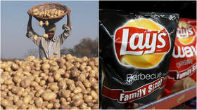 ‘Lay-off our spuds!’ PepsiCo slammed for suing Indian farmers over potatoes