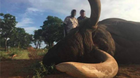 Disgust as trophy hunter boasts of killing rare large-tusked elephant in Zimbabwe