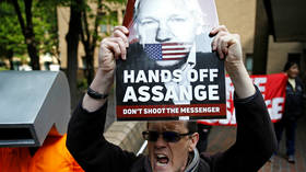 Assange’s jail term ‘excessive, extreme, unjustified’ – analysts