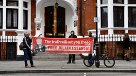 UN rights experts lambast Assange’s ‘disproportionate’ prison sentence in UK