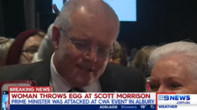 Was it hard-boiled? Australian PM egged in protest over migrant detention policy (VIDEO)