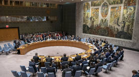 US & Palestine clash over peace plan, settlements at UNSC meeting