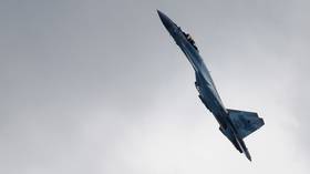 Su-35S jet wows crowds with 'physics-defying' stunts (VIDEO)
