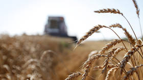 Russia extends zero duty on wheat exports as production continues to boom