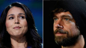 Twitter CEO maxes out donations to Tulsi Gabbard... conspiracy machine kicks into overdrive