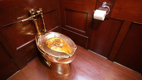 Sitting on a gold mine? Thieves steal £1mn toilet from UK palace
