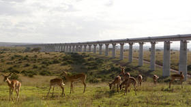 New Silk Road: Kenya’s massive $1.5bn railway funded & built entirely by China (PHOTOS, VIDEO)