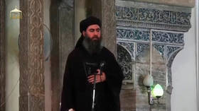 Islamic State leader al-Baghdadi detonated suicide vest during US raid in Syria – reports