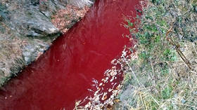 Nothing to see here: Rivers along Korean border run red with blood after massive pig cull (PHOTOS)