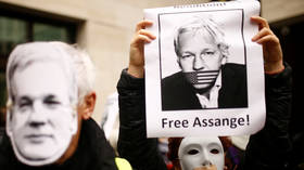 Julian Assange will ‘disappear for the rest of his life’ inside ‘inhumane’ US prison, UN envoy warns… if he makes it that far