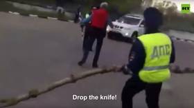 Non-lethal, but dead-on: WATCH Russian cops use massive BIRCH LOG to disarm knife-wielding man