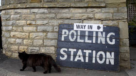 ‘Hey dogs, we want some of the action’: Canines’ feline rivals in UK strike back as #catsatpollingstations trends on election day