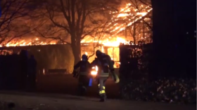 New Year’s fire at German zoo kills all but TWO animals inside monkey sanctuary (VIDEO)