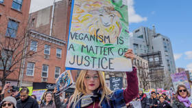 Clown law: Why has a provincial English tribunal declared ‘ethical veganism’ a ‘protected characteristic’?