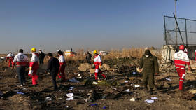 Plane caught fire mid-air, attempted to turn around: Iran issues initial report on Ukrainian airliner crash