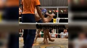 A classic double KO! Thai fighters sent to floor after landing the same punch at the same time (VIDEO)