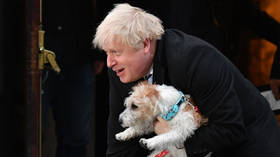 BoJo’s ‘Parliamentarian of the Year’ acceptance speech upstaged by his dog, prompting laughter and anger on Twitter (VIDEO)