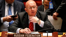 US didn’t discuss ‘deal of century’ with Moscow, Russia’s UN envoy says