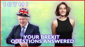 ICYMI: Polly answers the most searched questions about Brexit truthfully(ish) (VIDEO)
