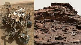 Rosebud or Mars shroom? Strange structure on Red Planet puzzles UFO hunters (VIDEO)