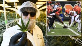 'Next year!' Pain of watching sport cannot be eased by marijuana, medical board rules – but NFL fan plans to petition again