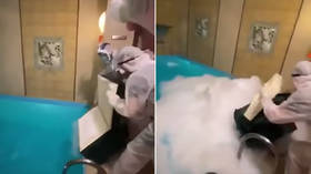 VIDEO shows how Moscow Instagram blogger’s deadly pool party with DRY ICE went HORRIBLY WRONG