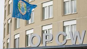 OPCW whistleblowers wrote to watchdog chief, say it ‘defies all logic’ that they’d ‘go rogue’ for no reason