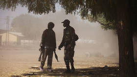 Sweden’s govt to send up to 150 troops to join French-led special forces in Mali
