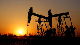 Oil price crash not catastrophic for Russian economy — Kremlin