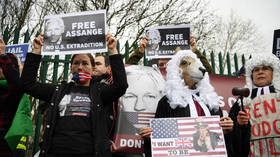 Julian Assange denied bail by London court