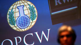OPCW points finger at Syrian government for 2017 chemical attacks amid whistleblowers scandal