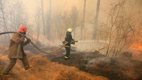 Wildfire rips through Chernobyl’s exclusion zone, raging just TWO MILES from crippled nuclear plant (PHOTO, VIDEO)