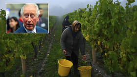 ‘You first then’: Prince Charles’ plea to Brits to ‘Pick for Britain’ during Covid-19 crisis provokes anger