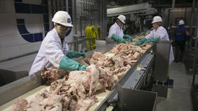 CHEAP MEAT is to blame for Covid-19 outbreaks at meat plants, ‘experts’ declare – so you might as well eat the damn bugs