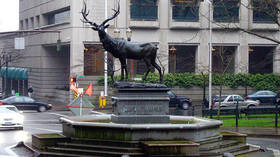This is how we end racism? Portland protesters mocked after setting ELK STATUE on fire (VIDEO)