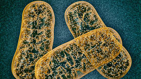Breakthrough in debilitating disease fight as scientists create revolutionary mitochondrial DNA editing tool
