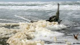 WATCH: Giant blobs of sea foam consume Cape Town as city lashed by gale force winds