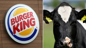 ‘Virtue-signaling’ Burger King blasted for promising to fight climate change by reducing COW FARTS